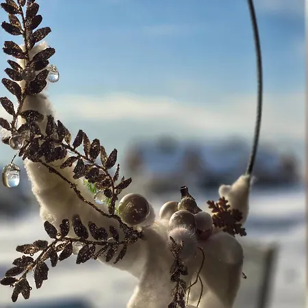 Babiakowka 아파트 *